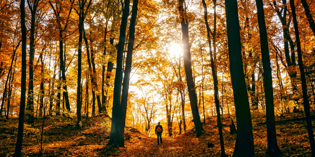 Why fall is the most important thing for your personal finances